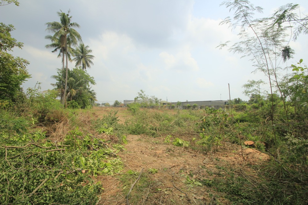 ขายที่ดินพุทธมณฑล ศาลายา : ที่ดินริมถนนมาลัยแมน นครปฐม 7-2-56.7 ไร่ ติดถนนทั้งหน้าหลัง ใกล้ทางด่วนกาญจนบุรี บางใหญ่ มหาวิทยาลัยราชภัฏนครปฐม