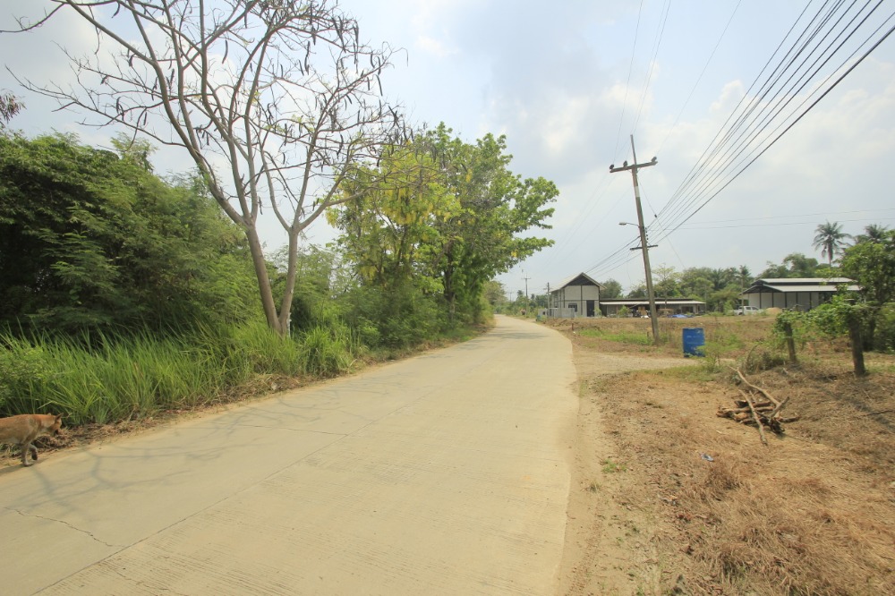 ขายที่ดินพุทธมณฑล ศาลายา : ที่ดินริมถนนมาลัยแมน นครปฐม 7-2-56.7 ไร่ ติดถนนทั้งหน้าหลัง ใกล้ทางด่วนกาญจนบุรี บางใหญ่ มหาวิทยาลัยราชภัฏนครปฐม