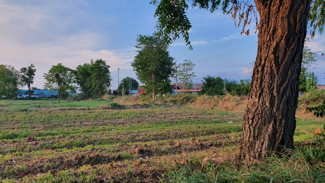 For SaleLandKorat Nakhon Ratchasima : Land for sale near the Sung Noen Subdistrict Administrative Organization, 14 rai, suitable for housing development, factory, warehouse.