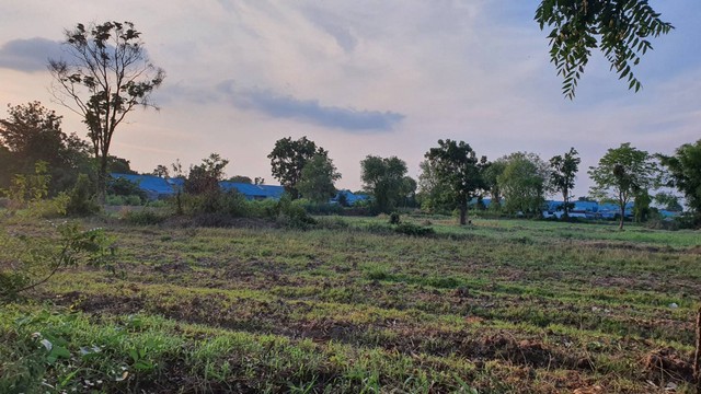 For SaleLandKorat Nakhon Ratchasima : Land for sale near the Sung Noen Subdistrict Administrative Organization, 14 rai, suitable for housing development, factory, warehouse.