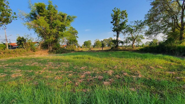 For SaleLandKorat Nakhon Ratchasima : Land for sale near the Sung Noen Subdistrict Administrative Organization, 14 rai, suitable for housing development, factory, warehouse.