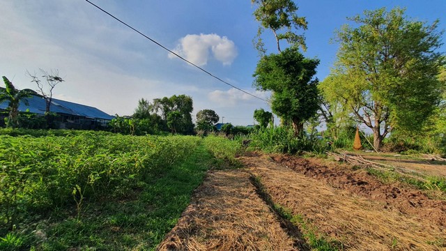 For SaleLandKorat Nakhon Ratchasima : Land for sale near the Sung Noen Subdistrict Administrative Organization, 14 rai, suitable for housing development, factory, warehouse.