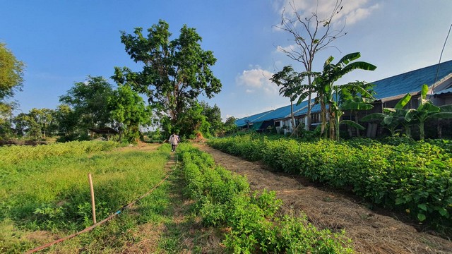 For SaleLandKorat Nakhon Ratchasima : Land for sale near the Sung Noen Subdistrict Administrative Organization, 14 rai, suitable for housing development, factory, warehouse.