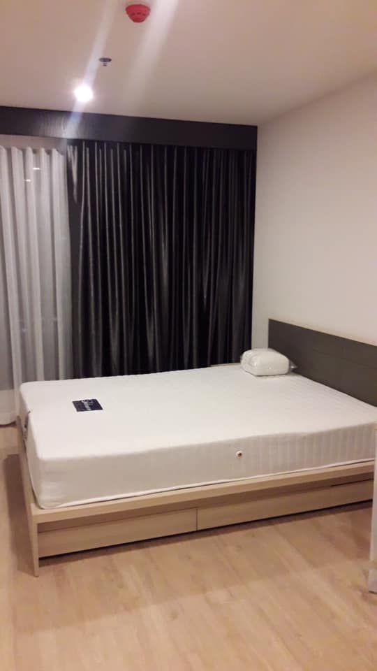 For RentCondoBangna, Bearing, Lasalle : For rent at Ideo O2  Negotiable at @condobkk (with @ too)