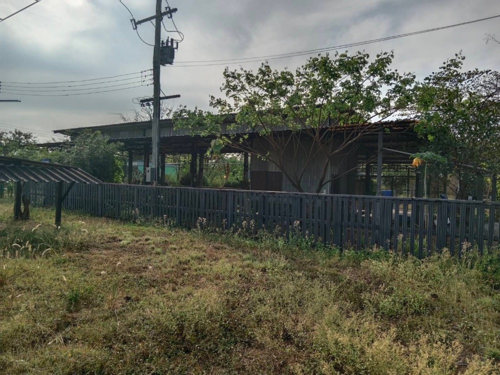 ขายที่ดินลำปาง : ขายที่ดินนาแก้ว เกาะคา ลำปาง ติดทางหลวง 1274  พื้นที่ 3 ไร่  ไร่ละ 750,000 บาท   ถนนขยาย 4 เลน  