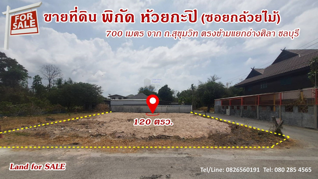 ขายที่ดินพัทยา บางแสน ชลบุรี สัตหีบ : ขาย ที่ดิน ใกล้ถนนสุขุมวิทเพียง700 เมตร แปลงมุม 1 งาน 20 ตร.วา ตรงข้ามแยกอ่างศิลา