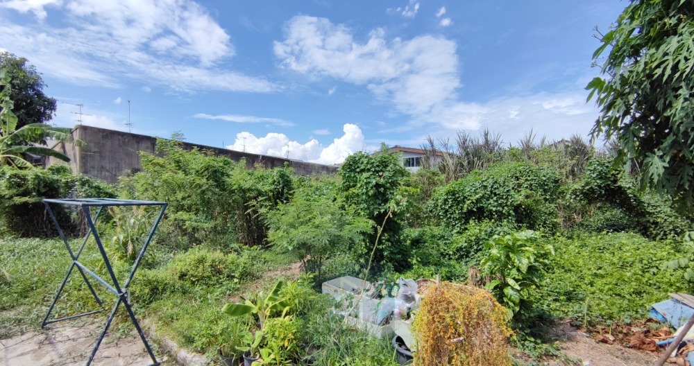 ขายที่ดินเกษตร นวมินทร์ ลาดปลาเค้า : ขาย ที่ดิน 95 ตร.วา ซ.ลาดปลาเค้า 62 บางเขน ทำเลในหมู่บ้าน ใกล้ถนนใหญ่