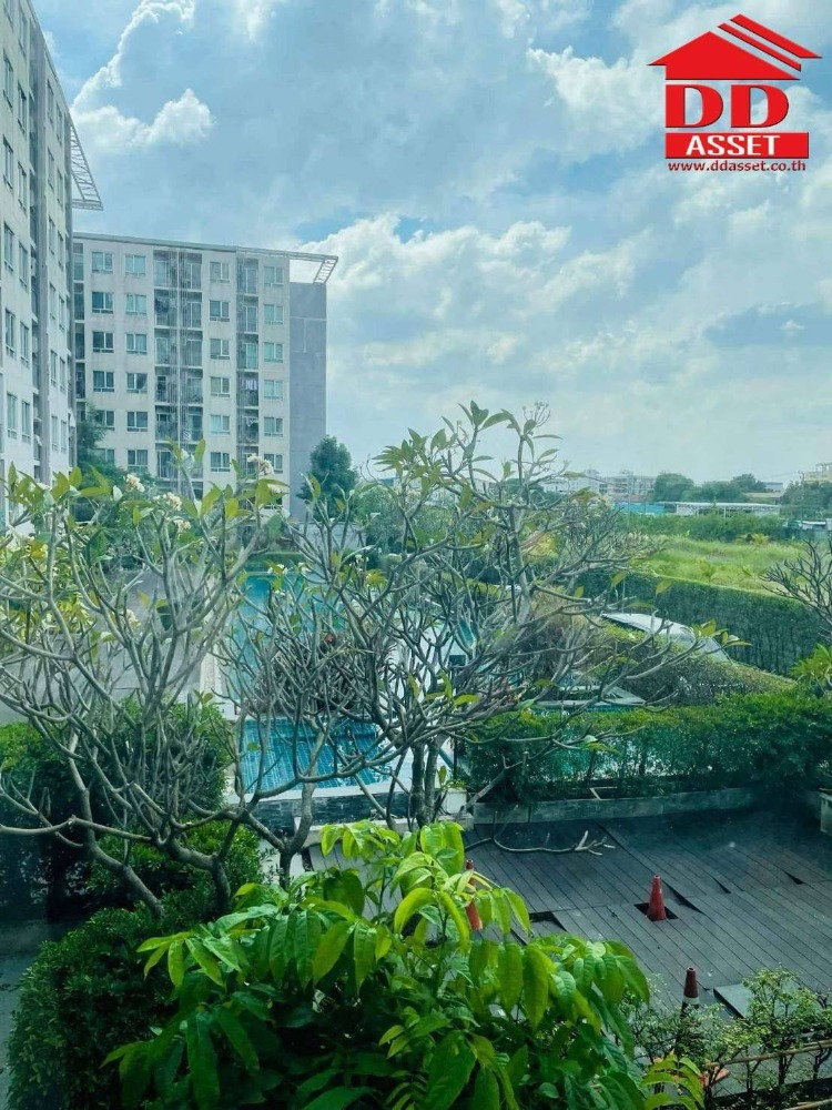 ขายคอนโดลาดกระบัง สุวรรณภูมิ : ขายพร้อมผู้เช่า​ คอนโด​ ไอรีส​ แอเวนิว​ อ่อนนุช-สุวรรณภูมิ​ ถนนลาดกระบัง​ รีโนเวทใหม่พร้อมเฟอร์นิเจอร์