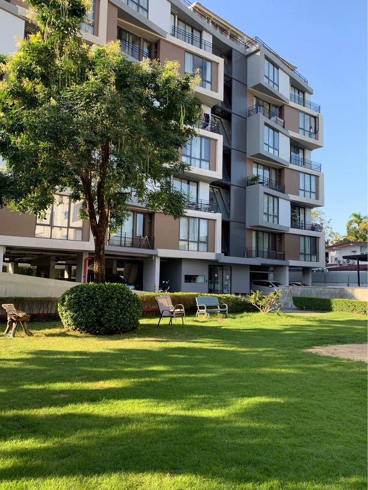 ให้เช่าคอนโดสุขุมวิท อโศก ทองหล่อ : MATTANI SUITES EKKAMAI PET FRIENDLY+PARK 2ห้องนอน 2ห้องน้ำ 80ตรม 42k (ลบ)