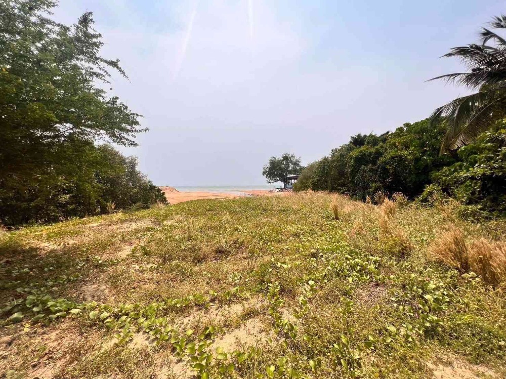 For SaleLandPattaya, Bangsaen, Chonburi : Beach front land for sale in Pattaya
