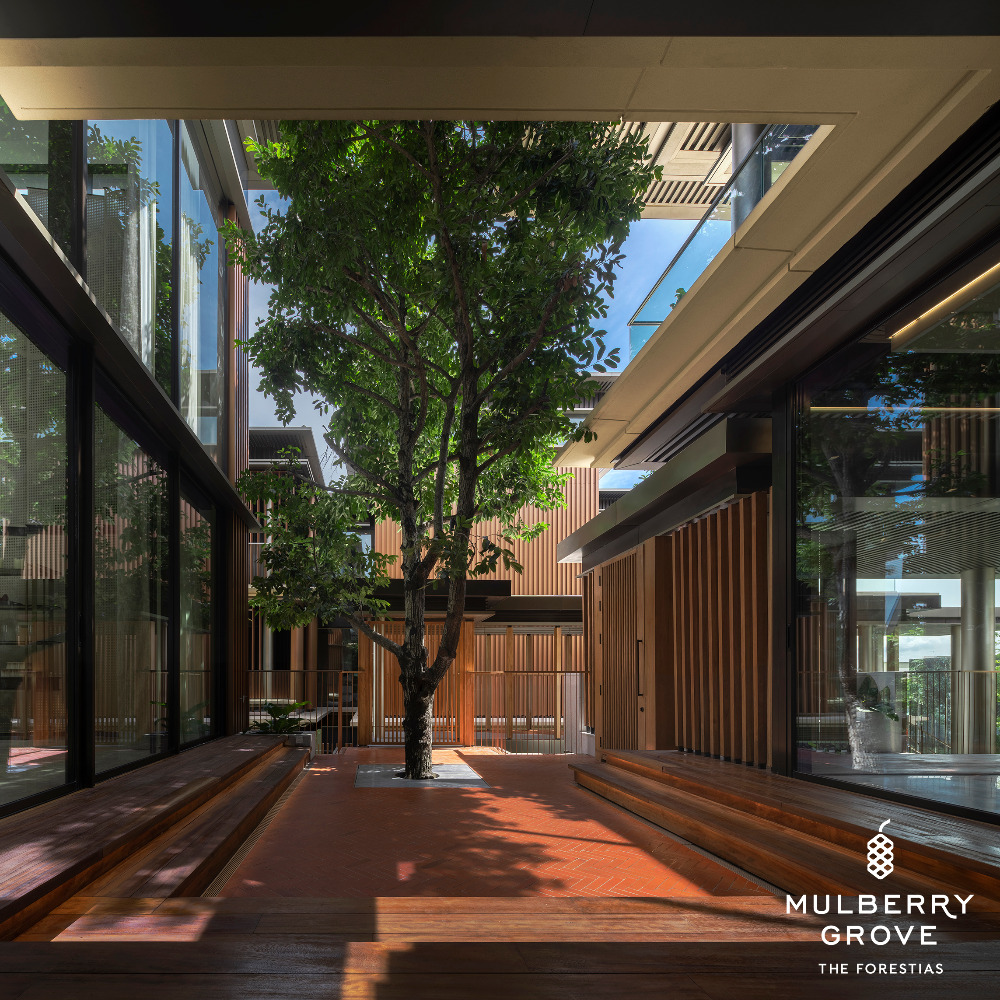 ขายบ้านบางนา แบริ่ง ลาซาล : Mulberry Grove The Forestias Villa TYPE M มัลเบอร์รี่ โกรฟ เดอะ ฟอเรสเทียส์ วิลล่า