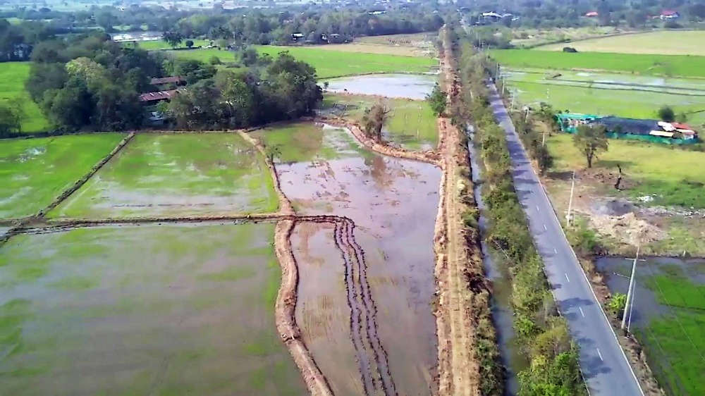 For SaleLandAyutthaya : Land over 2 rai, next to Black Road, Phachi District, Phra Nakhon Si Ayutthaya Province, total price 1 million baht, water is not flooded, water and electricity in front of the land.