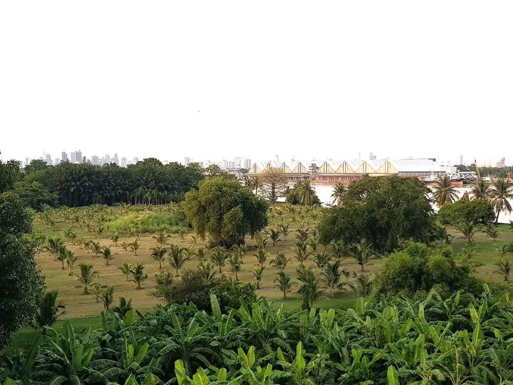 For SaleCondoRama3 (Riverside),Satupadit : For sale with tenant til January  27
 unit by the river , river view , near Central Rama 3