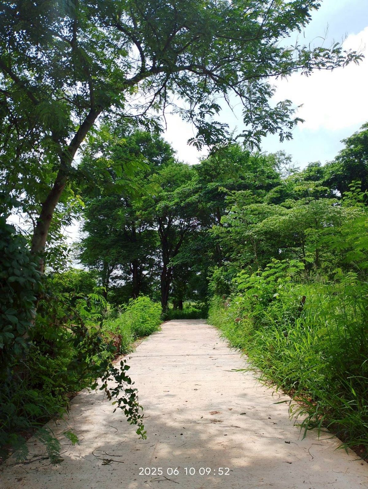 ขายที่ดินขอนแก่น : ขายด่วนที่ดิน ตั้งอยู่ ต.บ้านทุ่ม อ.เมือง จ.ขอนแก่น