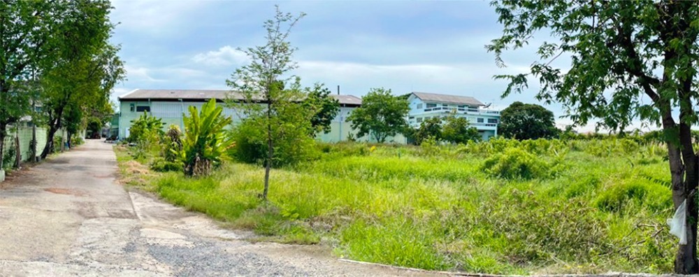 For SaleLandBangna, Bearing, Lasalle : Land for sale with buildings, area 16 rai 85 square wah, Bang Bo District, Samut Prakan Province. Bangna-Trad Road
