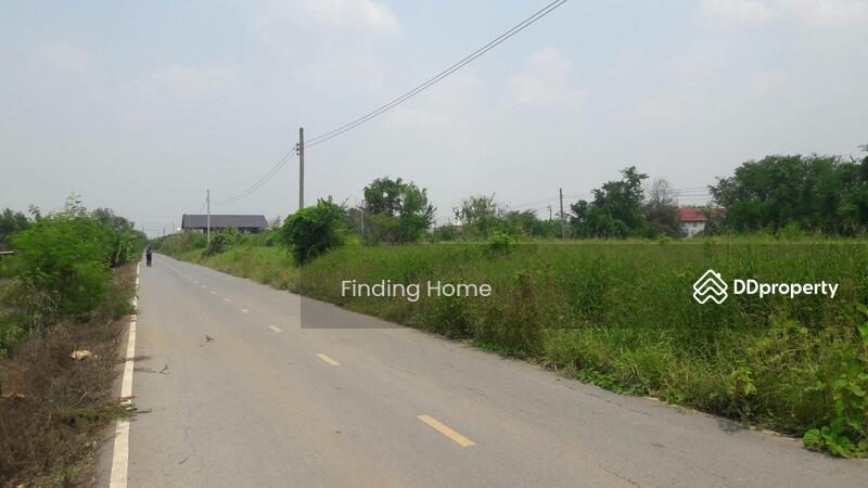 ขายที่ดินนนทบุรี บางใหญ่ บางบัวทอง : ขายที่ดินเปล่า 382  ตรว ย่านไทรน้อย อยู่ทางเข้าวัดไทรน้อย