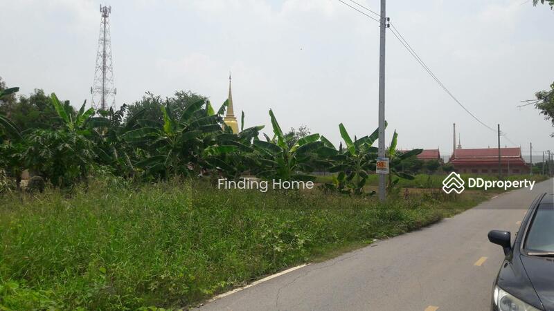 ขายที่ดินนนทบุรี บางใหญ่ บางบัวทอง : ขายที่ดินเปล่า 382  ตรว ย่านไทรน้อย อยู่ทางเข้าวัดไทรน้อย