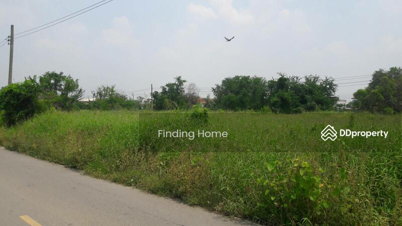 ขายที่ดินนนทบุรี บางใหญ่ บางบัวทอง : ขายที่ดินเปล่า 382  ตรว ย่านไทรน้อย อยู่ทางเข้าวัดไทรน้อย