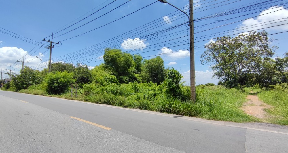 For SaleLandPathum Thani,Rangsit, Thammasat : Land for sale, 4 rai, Pathum Thani, Khlong Luang, Khlong 5, east side, next to the road along the canal complete utilities