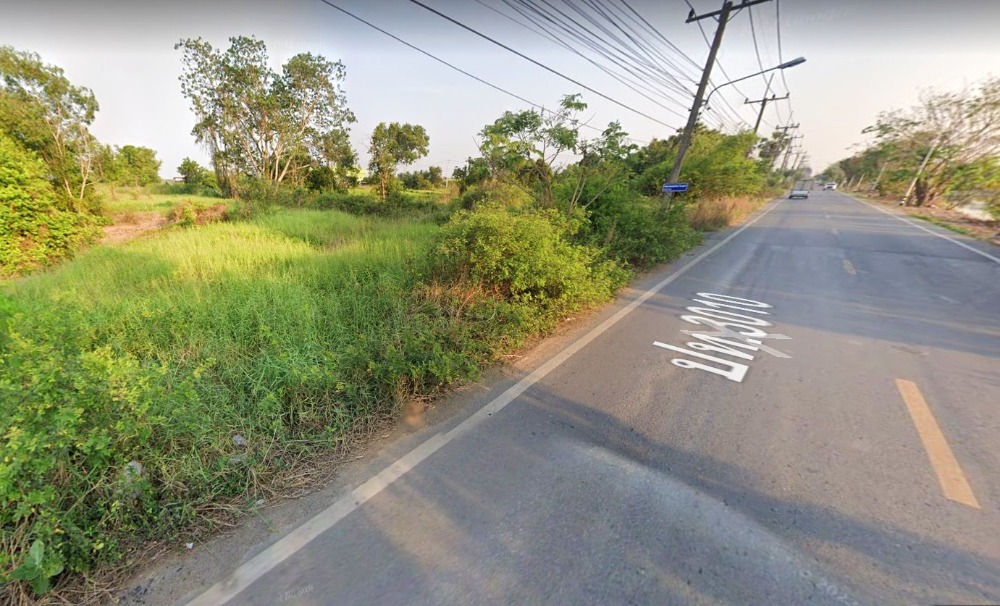 ขายที่ดินปทุมธานี รังสิต ธรรมศาสตร์ : ขาย ที่ดิน 4 ไร่ ปทุมธานี คลองหลวง คลอง 5 ฝั่งตะวันออก ติดถนนเลียบคลอง สาธารณูปโภคครบ