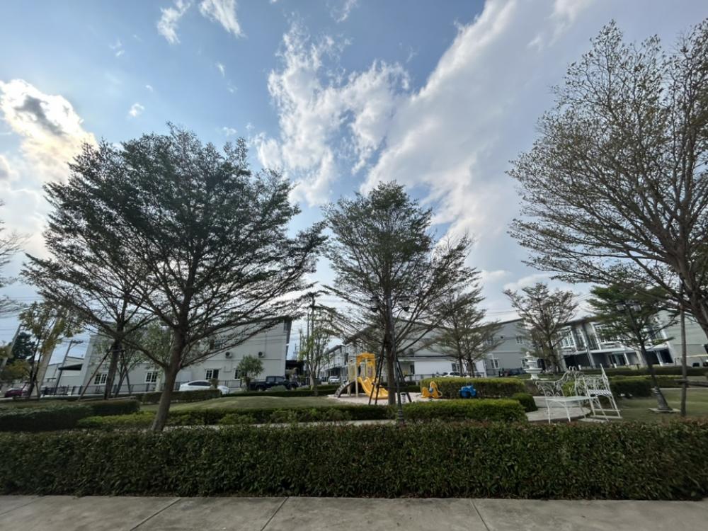 ขายทาวน์โฮมเชียงใหม่ : ‼️ขายด่วน‼️พร้อมผู้เช่า ปิดดีลเช่าเร็วมากกก ว่างไม่เคยถึงเดือน น่าลงทุน โกเด้นทาวน์ เชียงใหม่ - กาดรวมโชค บ้านสวยหรู เฟอร์นิเจอร์ เครื่องใช้ไฟฟ้าครบ พร้อมหิ้วเป๋าเข้าอยู่   สุดคุ้ม ทำเลทอง ตรงข้ามมรวมโชค มีโชคมอลล์ ใกล้ศูนย์ราชการ ใกล้เซ็นทรัลเฟสเชียงใหม่