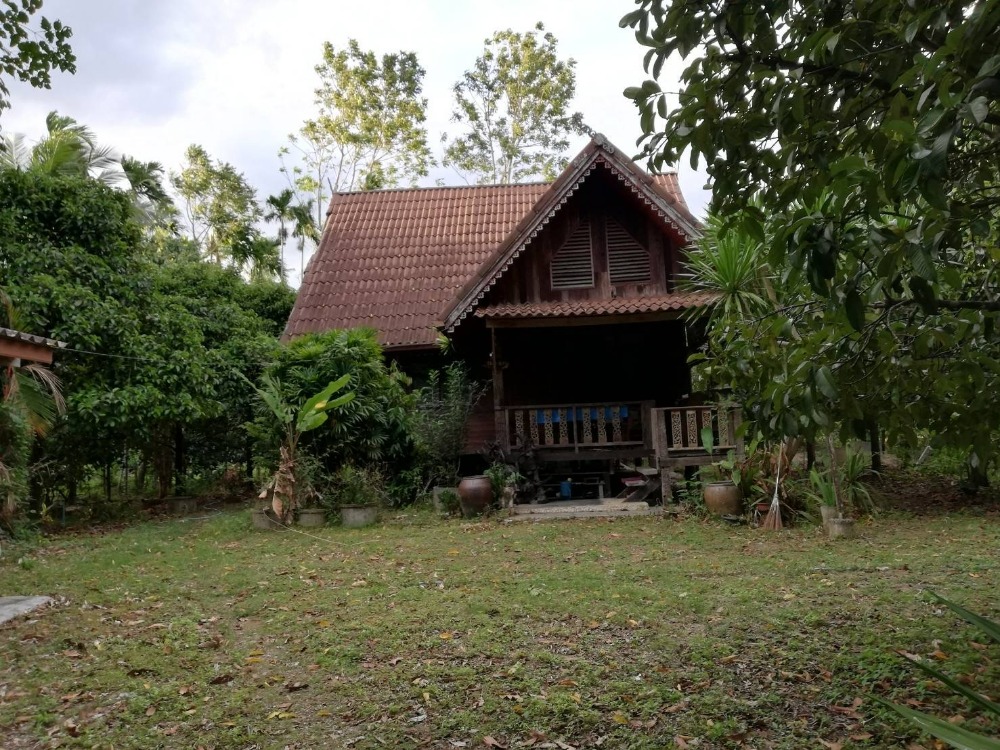 ขายที่ดินนครศรีธรรมราช : ขายที่ดินใกล้หมู่บ้านคีรีวง