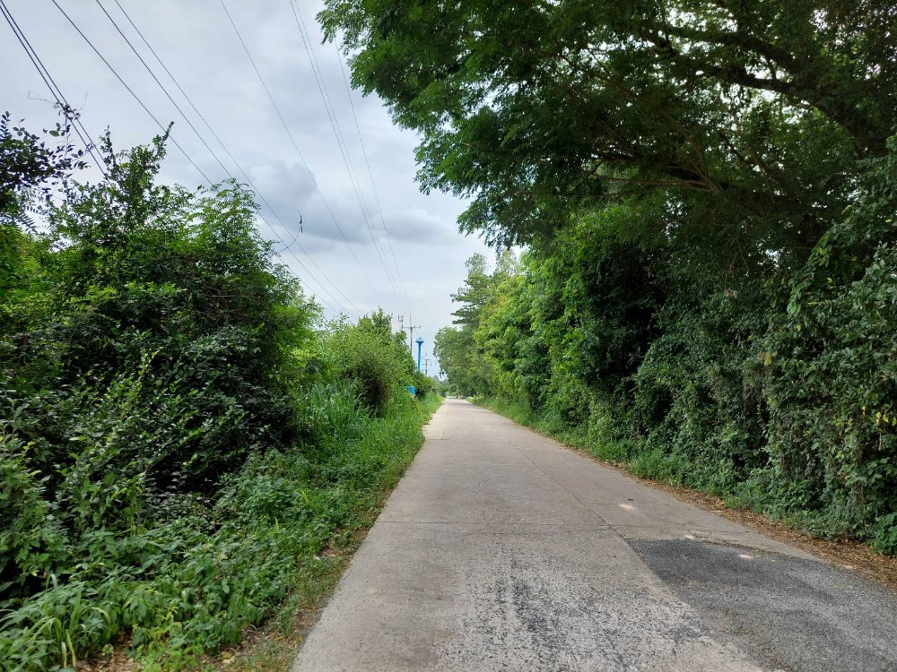 For SaleLandSaraburi : Land for sale 10.5 Rai near Khao Kaew Reservoir. Next to public road, Klong Ruea, Wihan Daeng, Saraburi