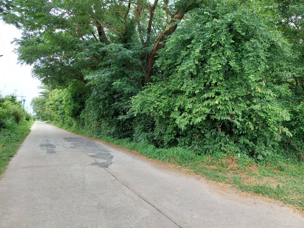 ขายที่ดินสระบุรี : ขายที่ดินเปล่า 10.5 ไร่ ใกล้อ่างเก็บน้ำเขาแก้ว ติดถนนสาธารณประโยชน์ คลองเรือ วิหารแดง สระบุรี