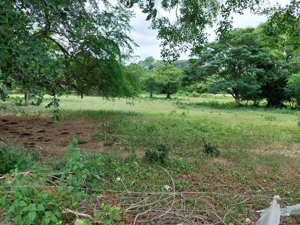 ขายที่ดินสระบุรี : ขายที่ดินเปล่า 10.5 ไร่ ใกล้อ่างเก็บน้ำเขาแก้ว ติดถนนสาธารณประโยชน์ คลองเรือ วิหารแดง สระบุรี