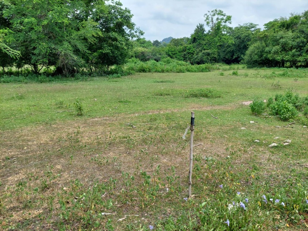 ขายที่ดินสระบุรี : ขายที่ดินเปล่า 10.5 ไร่ ใกล้อ่างเก็บน้ำเขาแก้ว ติดถนนสาธารณประโยชน์ คลองเรือ วิหารแดง สระบุรี