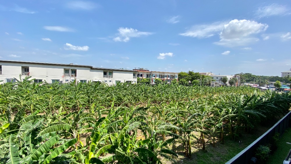 ขายคอนโดเกษตร นวมินทร์ ลาดปลาเค้า : ขายคอนโด เดอะคิวบ์ ลอฟท์ นวลจันทร์ (The Cube Loft) คอนโดแนว Loft ทำเล นวลจันทร์ - เลียบทางด่วนเอกมัยรามอินทรา - เกษตร นวมินทร์