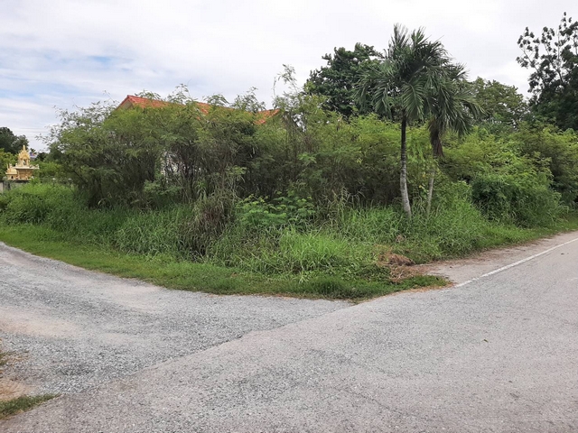 ขายที่ดินพุทธมณฑล ศาลายา : ขายที่ดินแปลงมุม ถมแล้ว นครชัยศรี 140 ตรว. ใกล้ถนนเพชรเกษม เพียง 120 เมตร ฝั่งตรงข้ามวัดศรีษะทอง ถนนกว้าง ทำเลดี เหมาะปลูกบ้าน ออฟฟิต