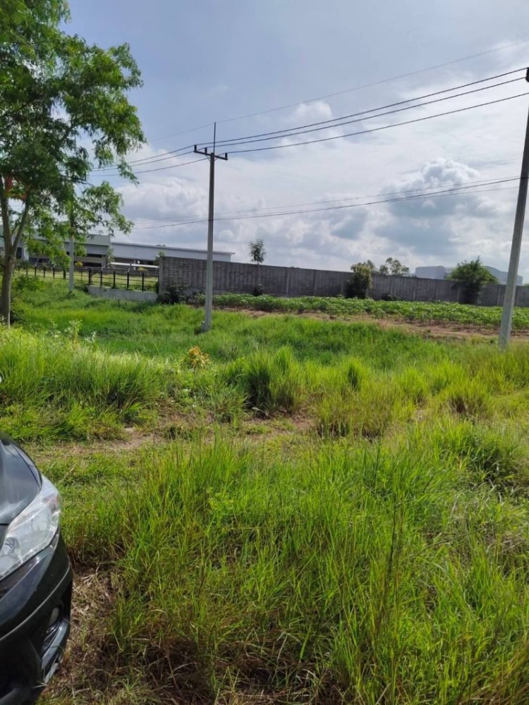 ขายที่ดินนครสวรรค์ : ขายที่ดิน เนื้อที่ 3 ไร่ 54.4 ตารางวา ติดถนนใหญ่ หมายเลข 11 ติดศูนย์รถยนต์อีซูซุ Isuzu ใกล้สี่แยกหนองบัว ฝั่งขาเข้ากรุงเทพ ตำบลหนองบัว อำเภอหนองบัว จังหวัดนครสวรรค์