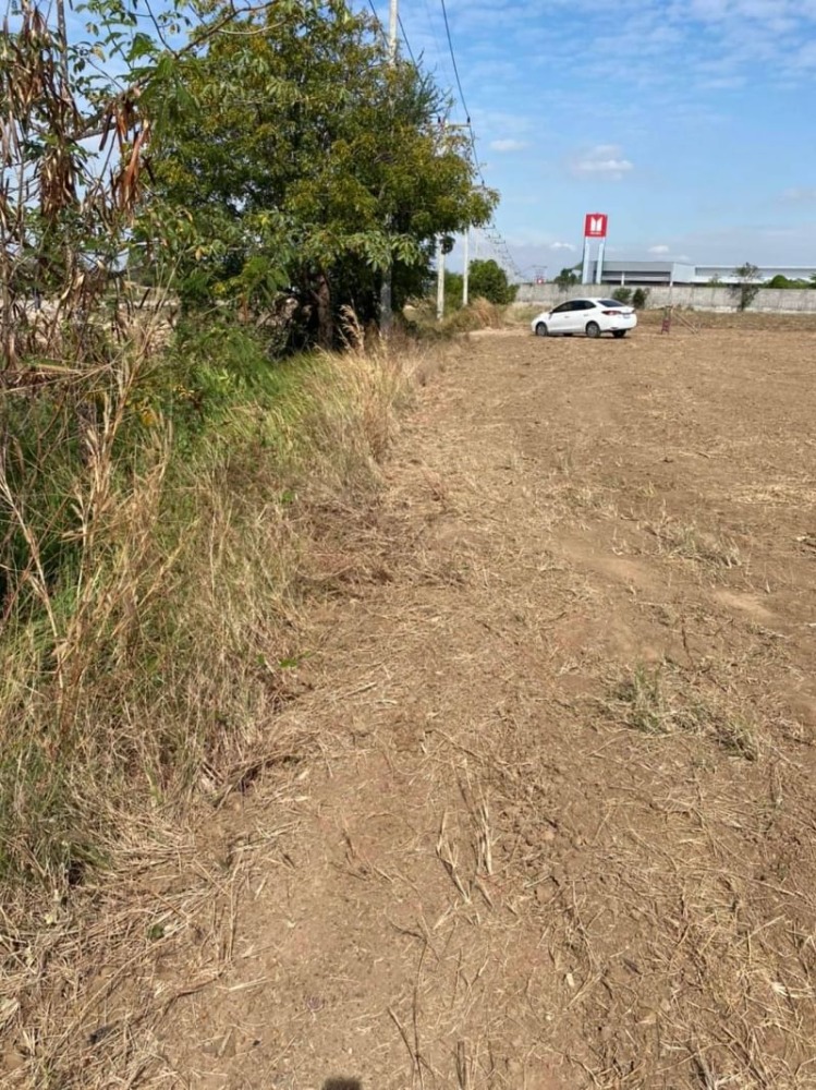 ขายที่ดินนครสวรรค์ : ขายที่ดิน เนื้อที่ 3 ไร่ 54.4 ตารางวา ติดถนนใหญ่ หมายเลข 11 ติดศูนย์รถยนต์อีซูซุ Isuzu ใกล้สี่แยกหนองบัว ฝั่งขาเข้ากรุงเทพ ตำบลหนองบัว อำเภอหนองบัว จังหวัดนครสวรรค์