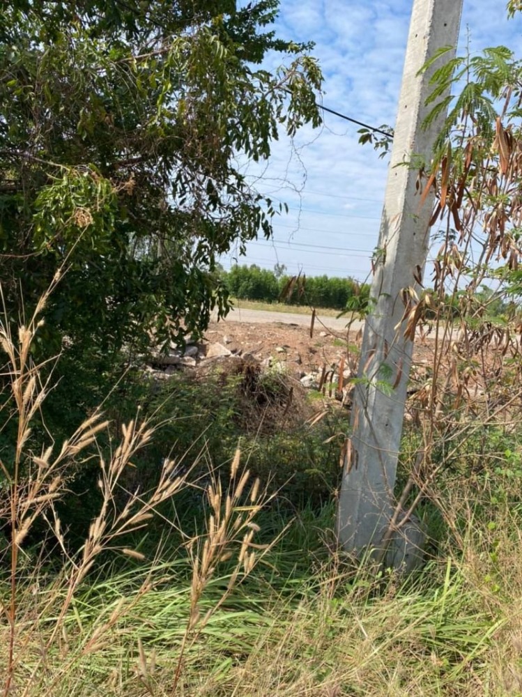 ขายที่ดินนครสวรรค์ : ขายที่ดิน เนื้อที่ 3 ไร่ 54.4 ตารางวา ติดถนนใหญ่ หมายเลข 11 ติดศูนย์รถยนต์อีซูซุ Isuzu ใกล้สี่แยกหนองบัว ฝั่งขาเข้ากรุงเทพ ตำบลหนองบัว อำเภอหนองบัว จังหวัดนครสวรรค์