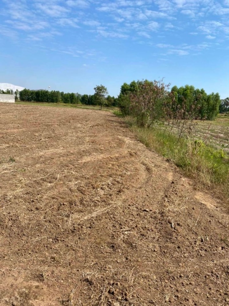 ขายที่ดินนครสวรรค์ : ขายที่ดิน เนื้อที่ 3 ไร่ 54.4 ตารางวา ติดถนนใหญ่ หมายเลข 11 ติดศูนย์รถยนต์อีซูซุ Isuzu ใกล้สี่แยกหนองบัว ฝั่งขาเข้ากรุงเทพ ตำบลหนองบัว อำเภอหนองบัว จังหวัดนครสวรรค์