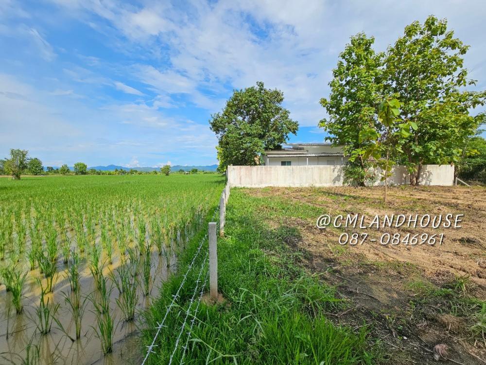 For SaleLandChiang Mai : Land with beautiful mountain view, next to rice fields, 228 square wa. Selling cheap 7,900 / square wa. Near Huan Chai Yong Shop, San Kamphaeng District, the path to the new airport. Direct route into the city 12 km. Wide road, no need to go into narrow a