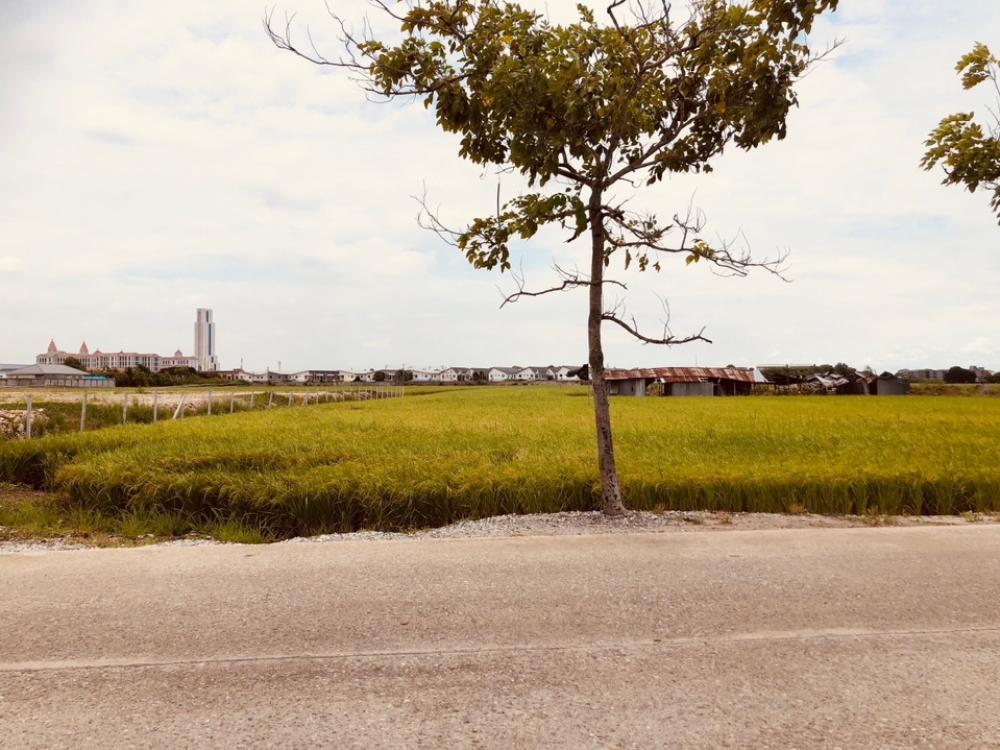 ขายที่ดินบางนา แบริ่ง ลาซาล : ขายที่ดินเปล่า ทำเลดี ใกล้เอแบคบางนา ติดถนนหลวง 11 ไร่ 1 งาน 33.2 ตร.ว.