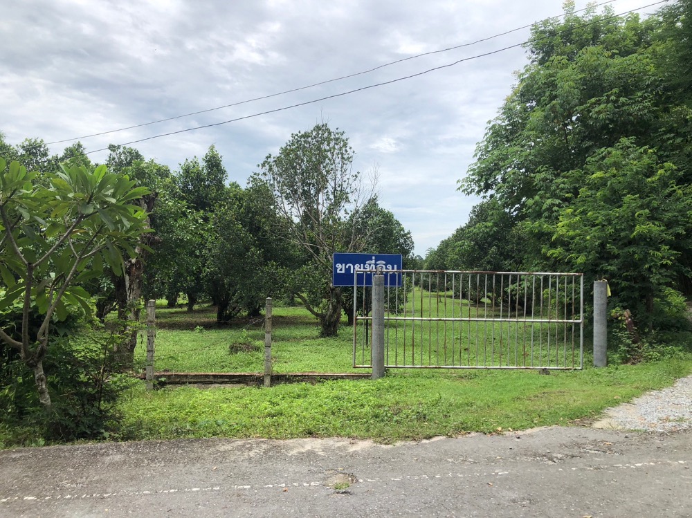 For SaleLandNakhon Nayok : For sale: beautiful land plot, 7 rai, 3 ngan, 18 square wa, Nakhon Nayok (Khao Ratchasi, Sarika)