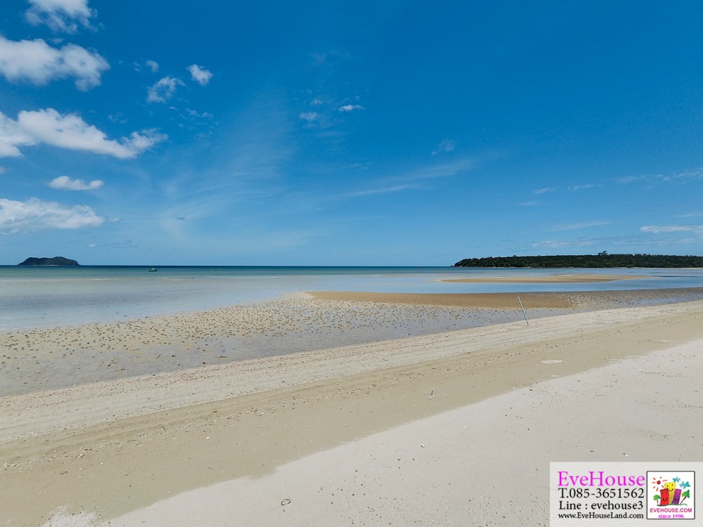 For SaleLandChumphon : Land for sale around 49 rai Beach front 470 m. Pathio District, Chumphon Province. 7.7 km. from Chumphon Airport 3.5 million/rai total 171.36 million baht.