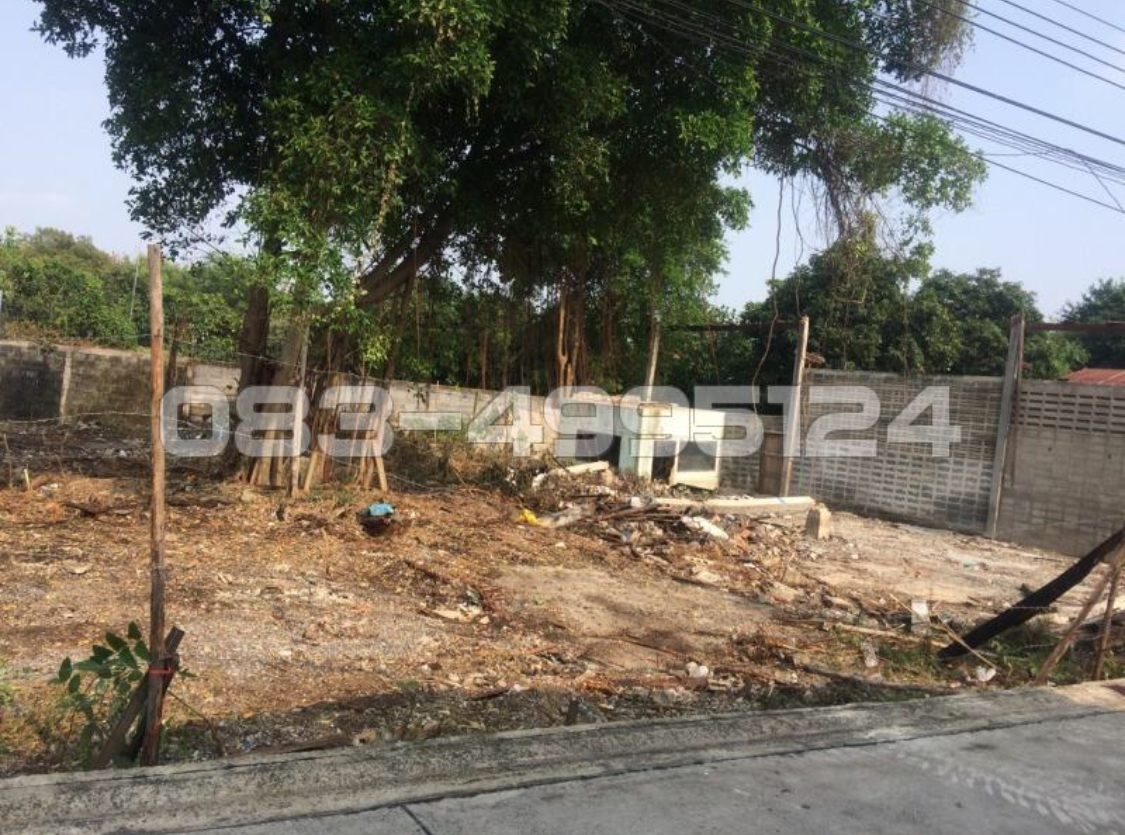 ขายที่ดินมีนบุรี-ร่มเกล้า : ขายที่ดิน ใกล้สถานีรถไฟฟ้า ตลาดมีนบุรี สายสีชมพู สายสีส้ม  527 , 332 ตรว.ซอยสีหบุรานุกิจ 16