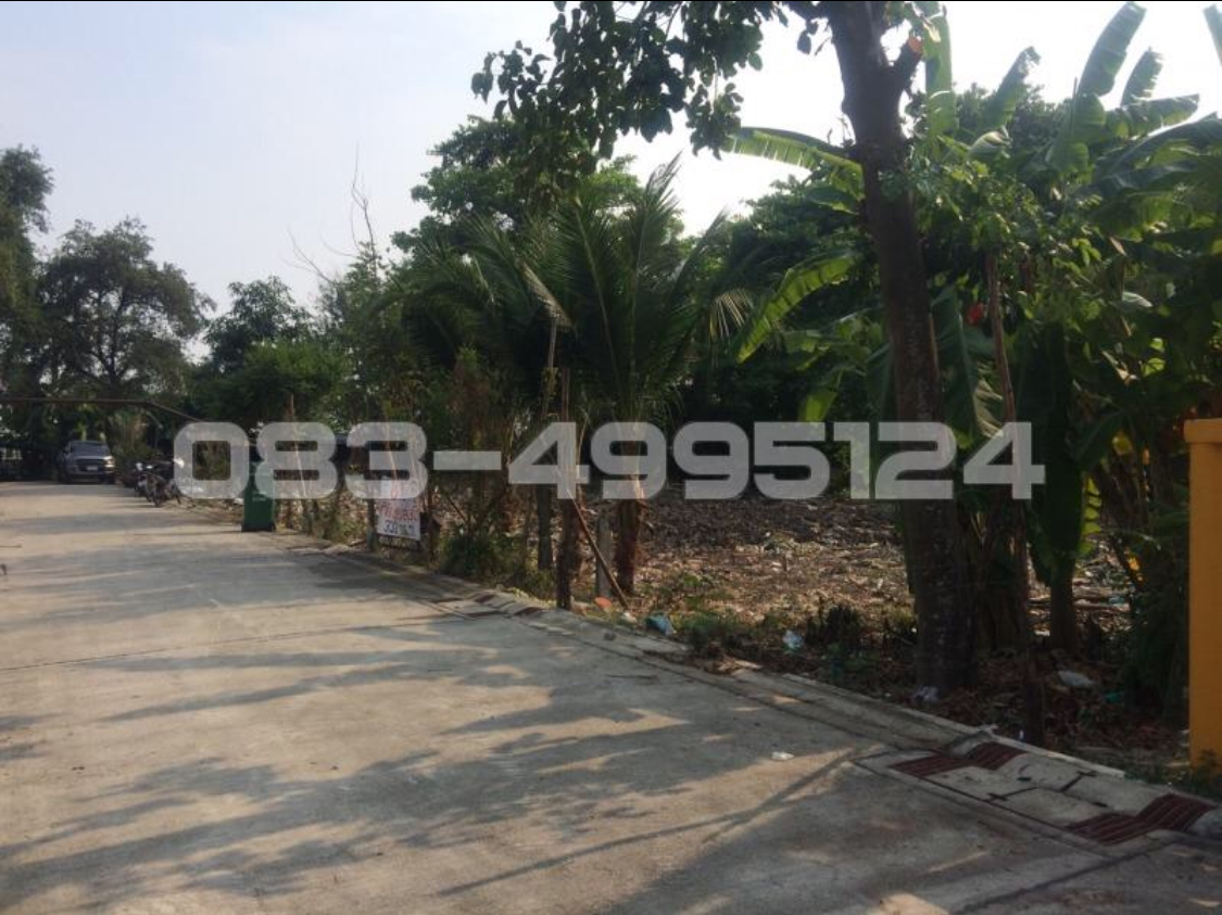 ขายที่ดินมีนบุรี-ร่มเกล้า : ขายที่ดิน ใกล้สถานีรถไฟฟ้า ตลาดมีนบุรี สายสีชมพู สายสีส้ม  527 , 332 ตรว.ซอยสีหบุรานุกิจ 16