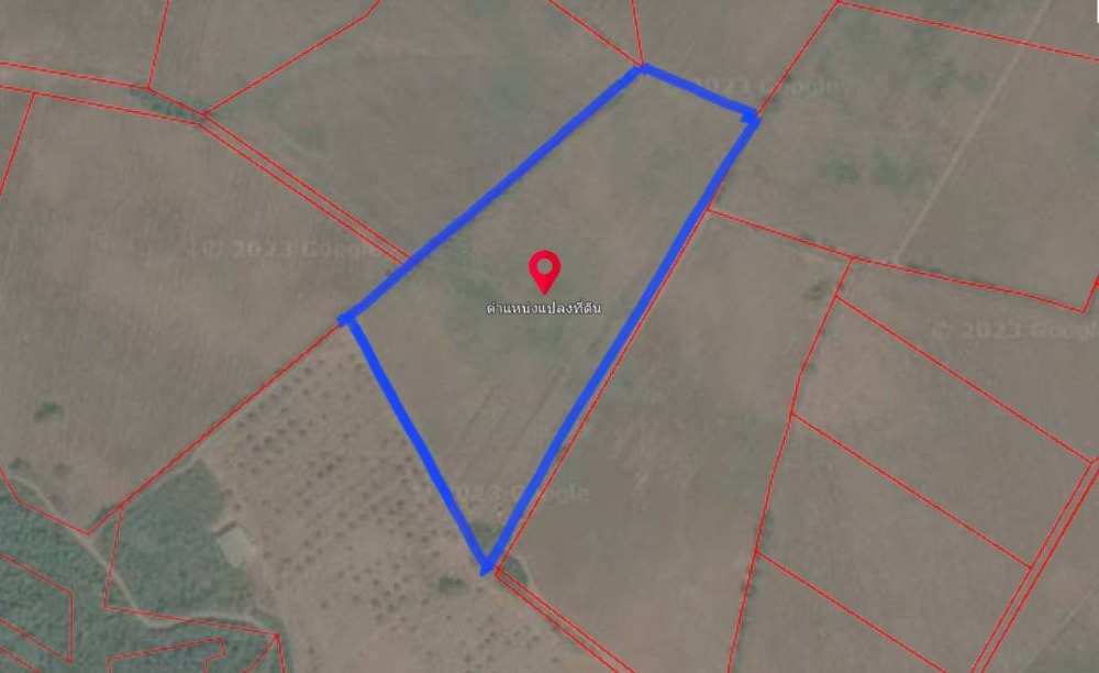 ขายที่ดินสระบุรี : ขายที่ดินเปล่า 25 ไร่ วิวสวย เห็นเขาไกล ๆ บรรยากาศดีมาก เหมาะปลูกบ้านทำเกษตรอินทรีย์ แสลงพัน วังม่วง สระบุรี