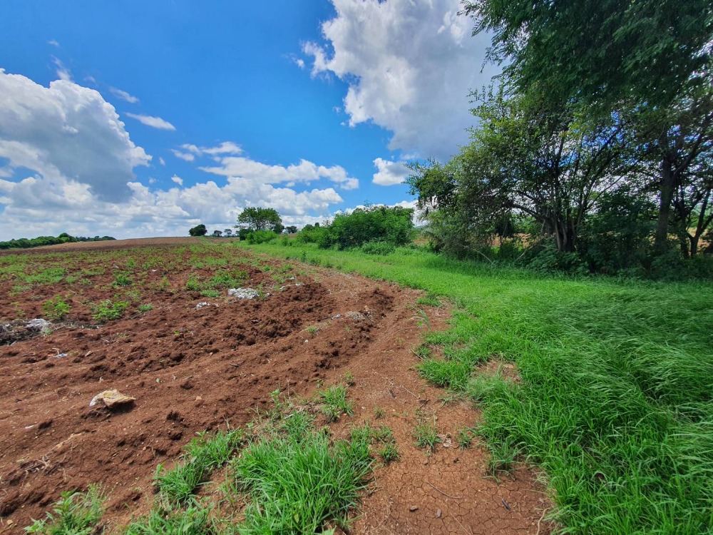 ขายที่ดินสระบุรี : ขายที่ดินเปล่า 25 ไร่ วิวสวย เห็นเขาไกล ๆ บรรยากาศดีมาก เหมาะปลูกบ้านทำเกษตรอินทรีย์ แสลงพัน วังม่วง สระบุรี