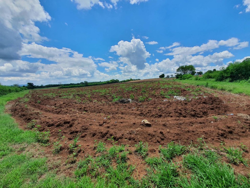 ขายที่ดินสระบุรี : ขายที่ดินเปล่า 25 ไร่ วิวสวย เห็นเขาไกล ๆ บรรยากาศดีมาก เหมาะปลูกบ้านทำเกษตรอินทรีย์ แสลงพัน วังม่วง สระบุรี