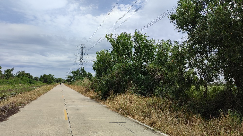 ขายที่ดินปทุมธานี รังสิต ธรรมศาสตร์ : ขายที่59 ไร่ คลองสิบ หนองเสือ รังสิต-นครนายก ติดถนน2ด้าน ใกล้ชุมชน เหมาะทำหมู่บ้าน