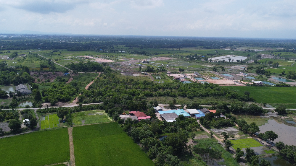 ขายที่ดินนครนายก : ที่ดินนครนายก 25 ไร่ ถนนรังสิต-นครนายก อยู่ในซอยกร่างพัฒนา (ซอยประสงค์ดี-ท่าช้าง) เพียง 500 เมตร  ติดถนนคอนกรีต