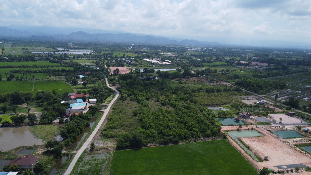 ขายที่ดินนครนายก : ที่ดินนครนายก 25 ไร่ ถนนรังสิต-นครนายก อยู่ในซอยกร่างพัฒนา (ซอยประสงค์ดี-ท่าช้าง) เพียง 500 เมตร  ติดถนนคอนกรีต