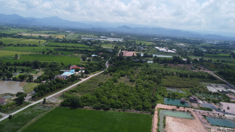 ขายที่ดินนครนายก : ที่ดินนครนายก 25 ไร่ ถนนรังสิต-นครนายก อยู่ในซอยกร่างพัฒนา (ซอยประสงค์ดี-ท่าช้าง) เพียง 500 เมตร  ติดถนนคอนกรีต