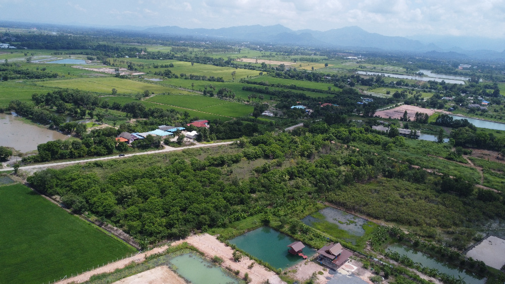 ขายที่ดินนครนายก : ที่ดินนครนายก 25 ไร่ ถนนรังสิต-นครนายก อยู่ในซอยกร่างพัฒนา (ซอยประสงค์ดี-ท่าช้าง) เพียง 500 เมตร  ติดถนนคอนกรีต